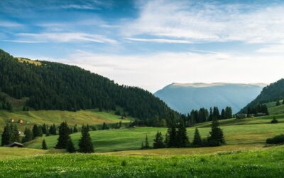 Photo Breast reduction in Brno
